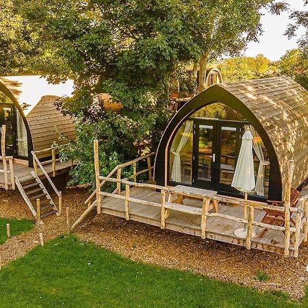 Boomhuis Met Optioneel Wellness - Vakantiepark De Schreiershoek Доккум Экстерьер фото
